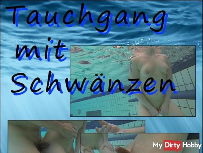 Tauchgang mit Schwänzen