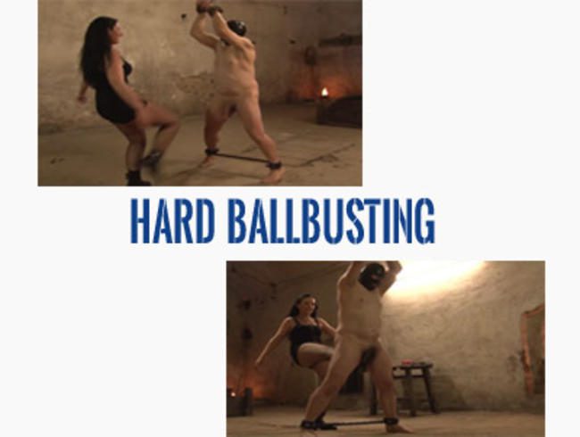 Hartes Ballbusting Zucht