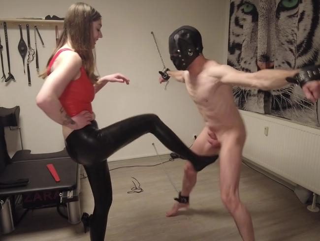 Ballbusting - Extremes CBT für den User Sklaven