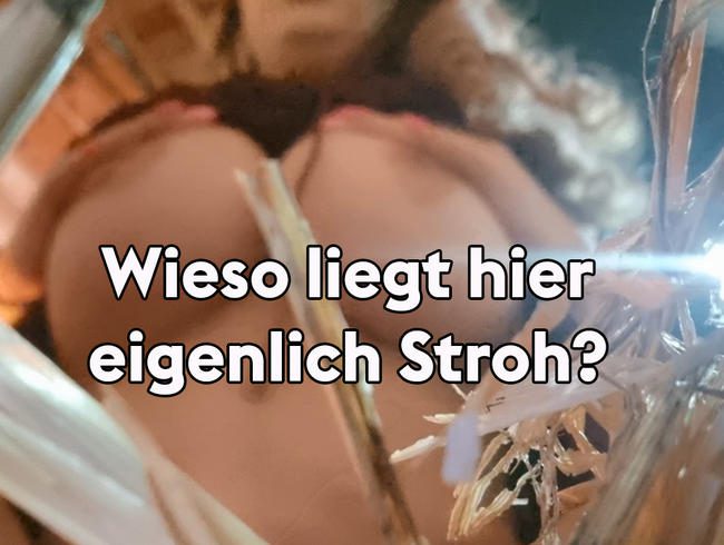 Wieso liegt hier eigentlich Stroh?