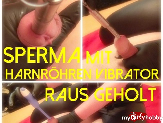 Sperma mit Harnröhren Vibrator raus geholt