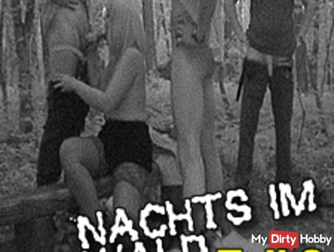 Gangbang Nachts im Wald Teil 2