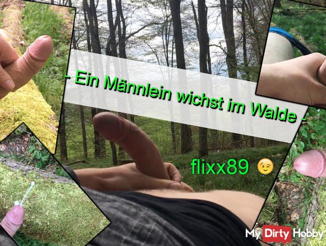 Ein Männlein wichst im Walde