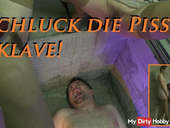 Schluck die Pisse, Sklave!