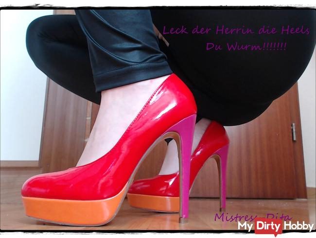 Leck der Herrin die Heels Du Wurm!!!!!