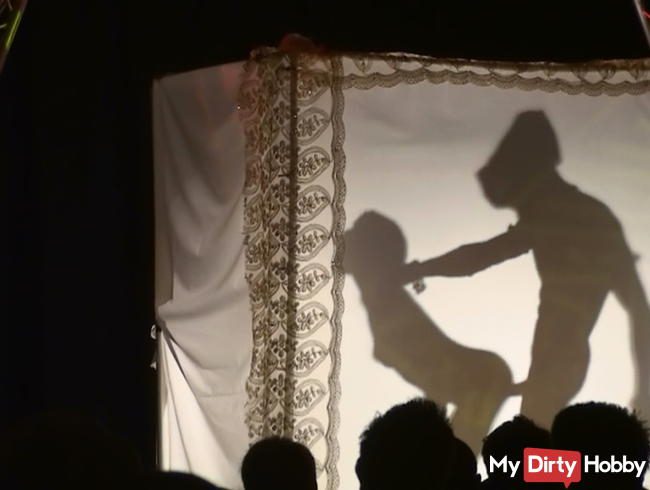 Kamasutra Schattenwand Show