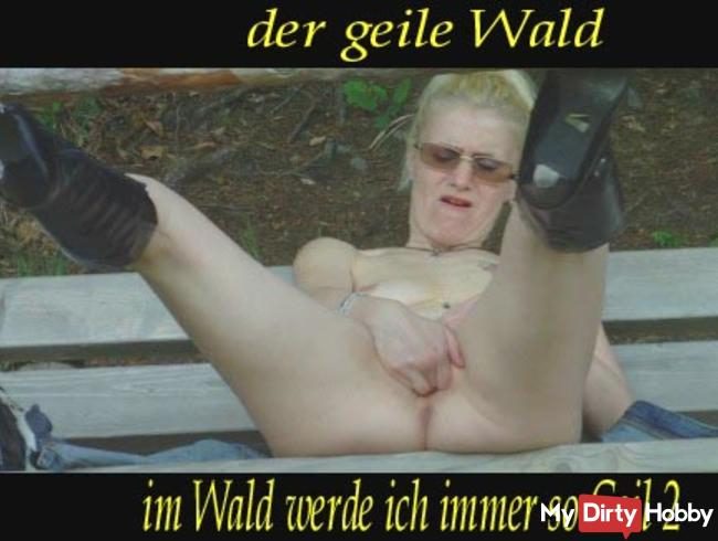 Der Geile Wald!!!!